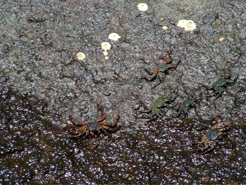 DSCF3413.JPG