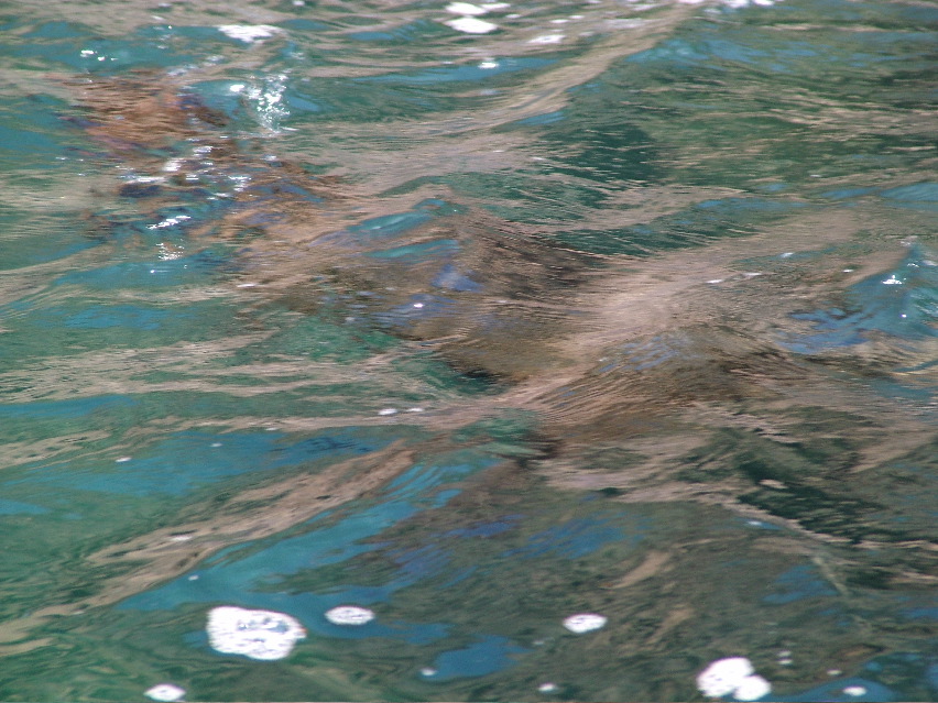 DSCF3414.JPG