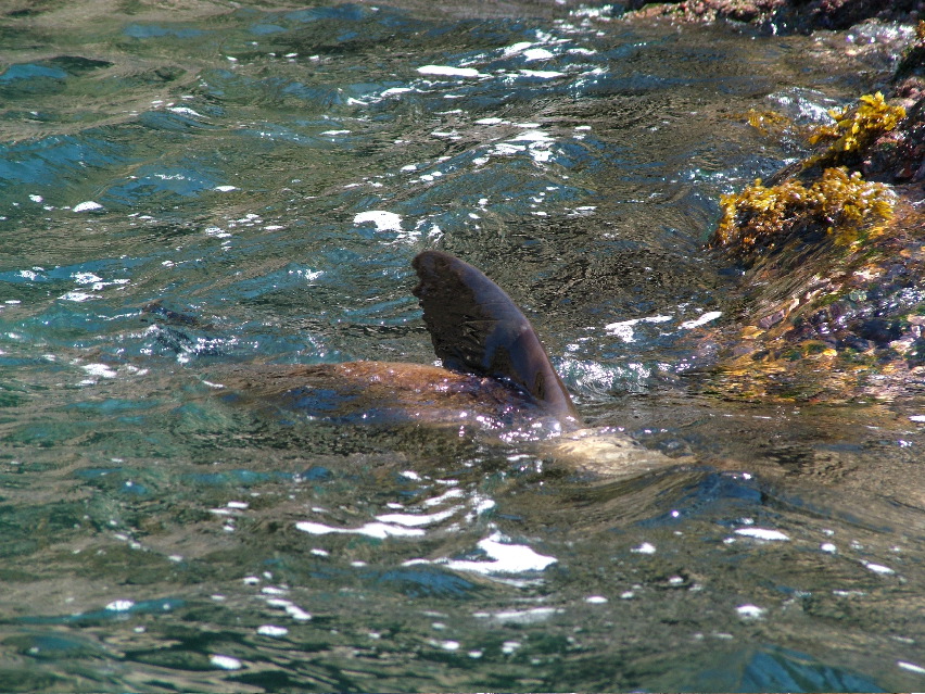 DSCF3415.JPG