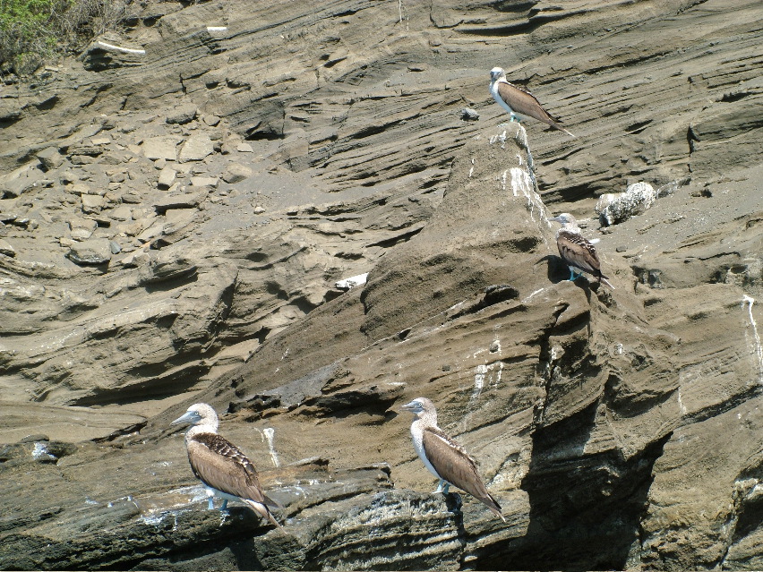 DSCF3416.JPG