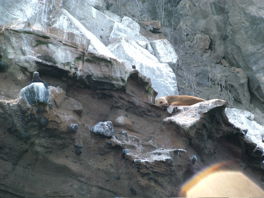 DSCF3417.JPG
