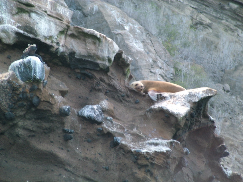 DSCF3418.JPG