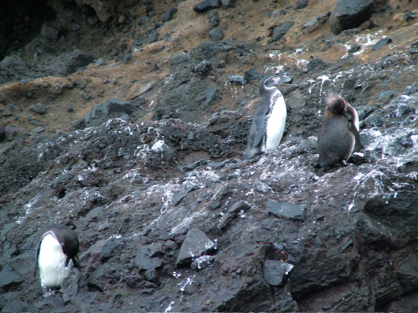 DSCF3423.JPG