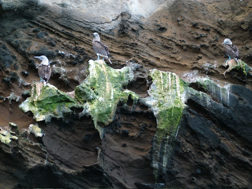 DSCF3431.JPG