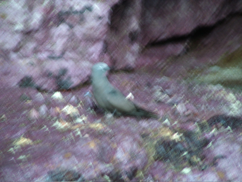 DSCF3436.JPG