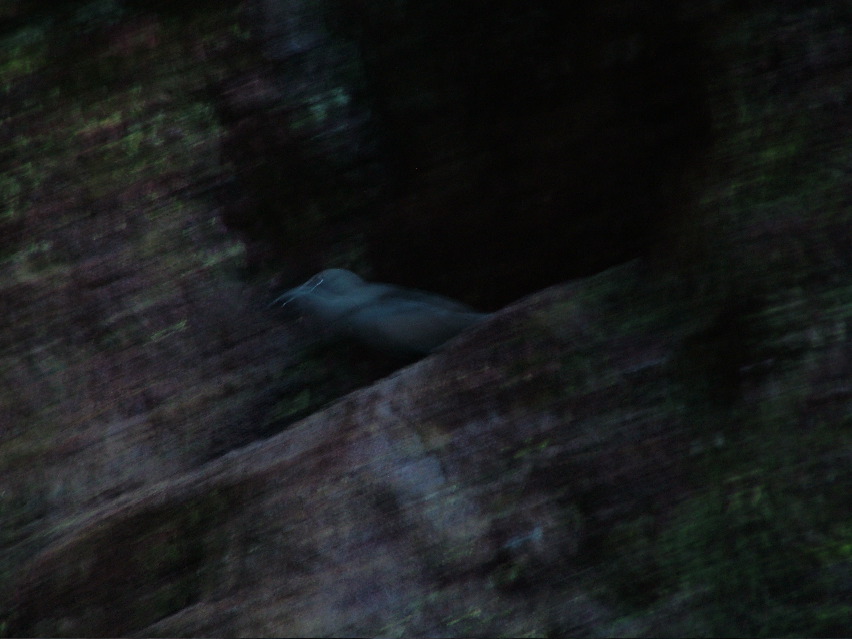 DSCF3441.JPG