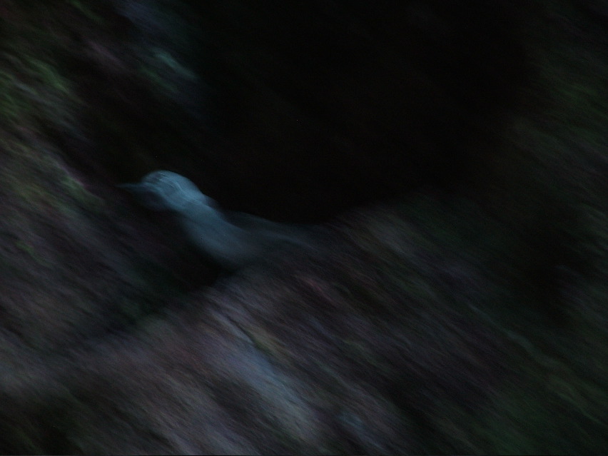 DSCF3442.JPG