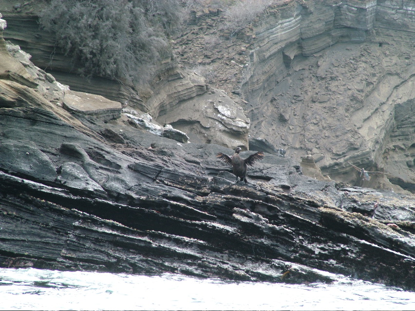 DSCF3443.JPG