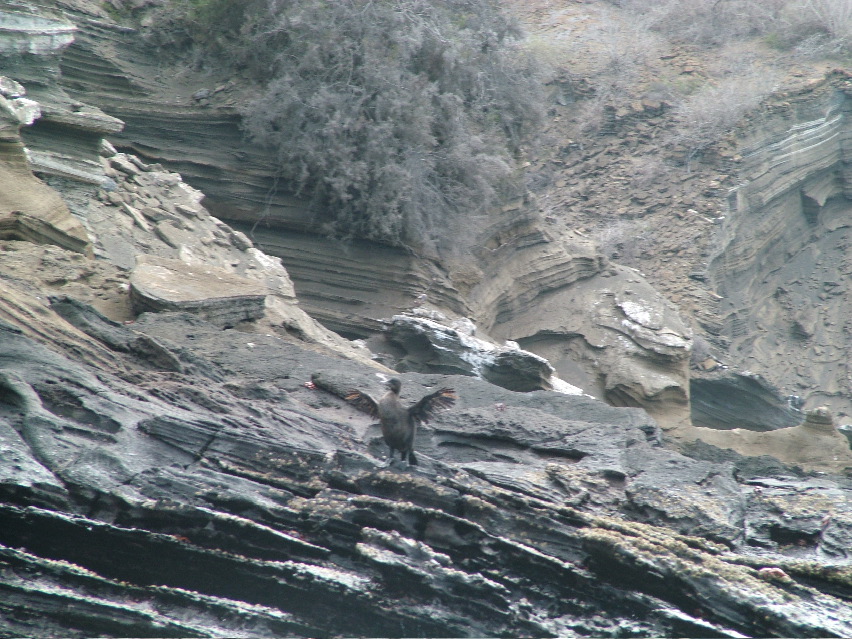 DSCF3444.JPG