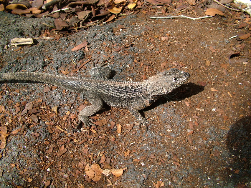 DSCF3454.JPG