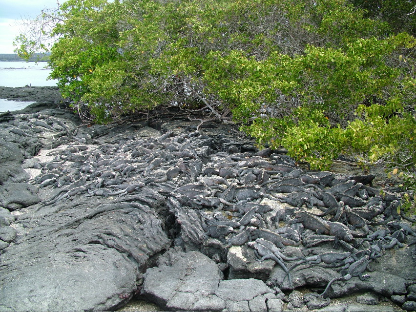 DSCF3455.JPG