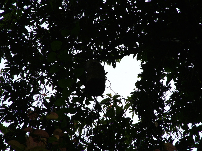 DSCF3149.JPG