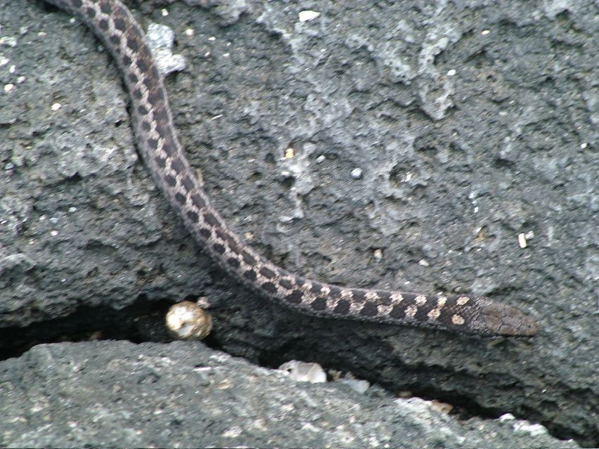 DSCF3460.JPG