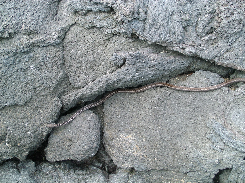 DSCF3462.JPG