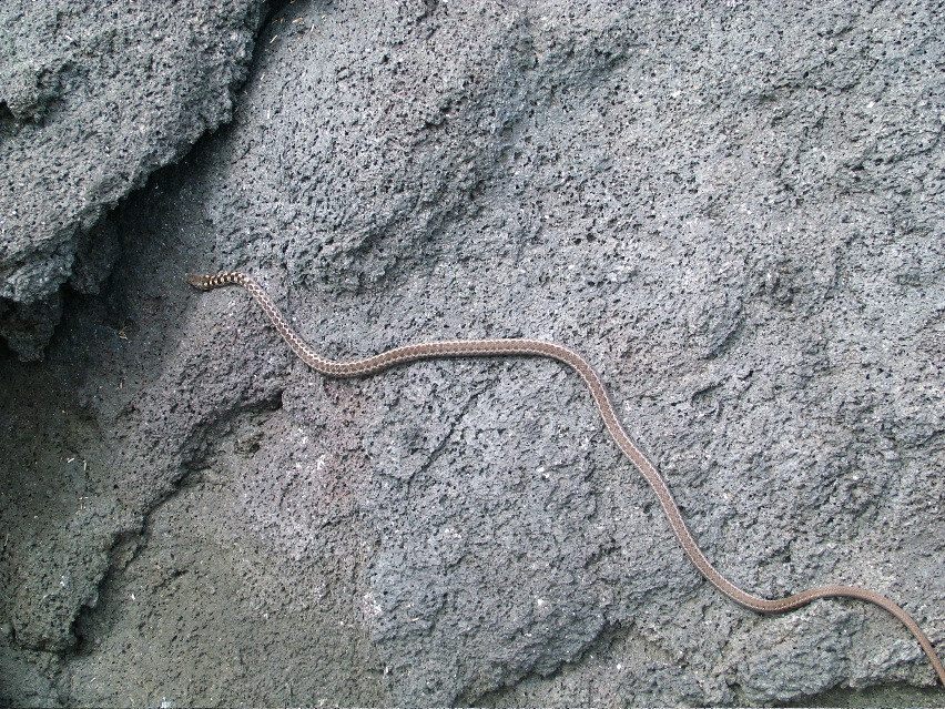 DSCF3463.JPG