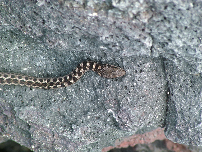 DSCF3467.JPG