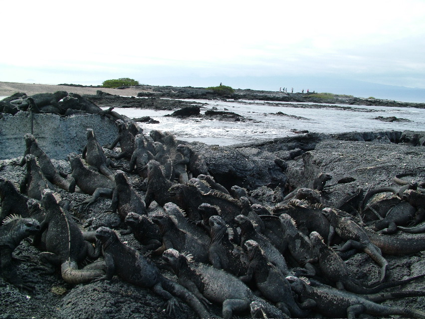 DSCF3470.JPG