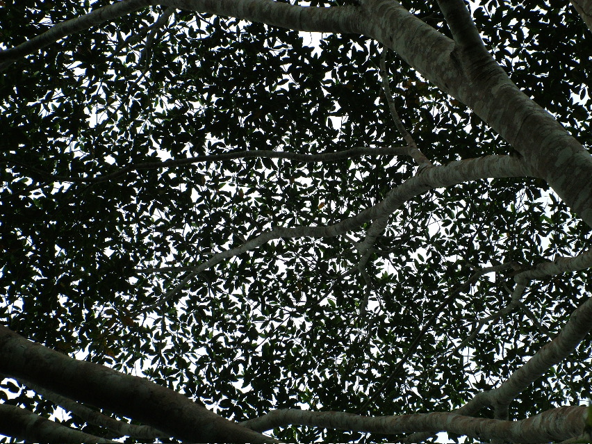 DSCF3150.JPG