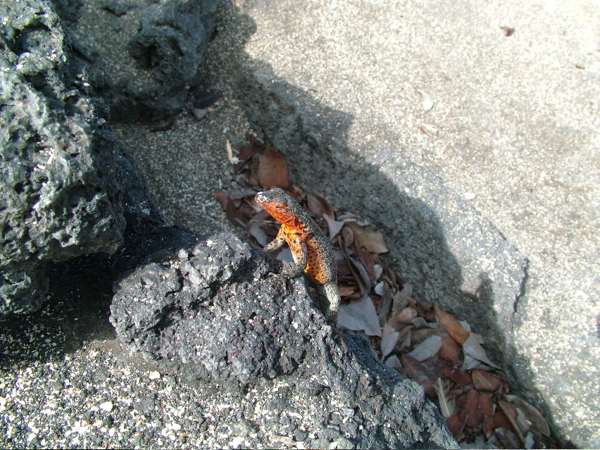 DSCF3472.JPG