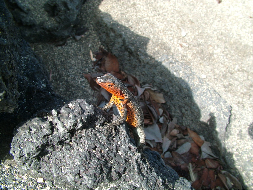 DSCF3473.JPG
