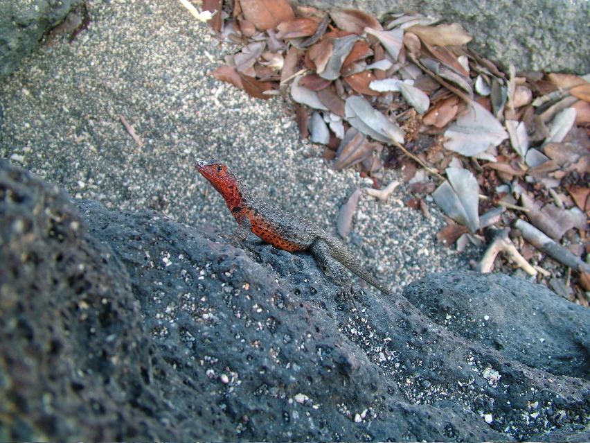 DSCF3474.JPG