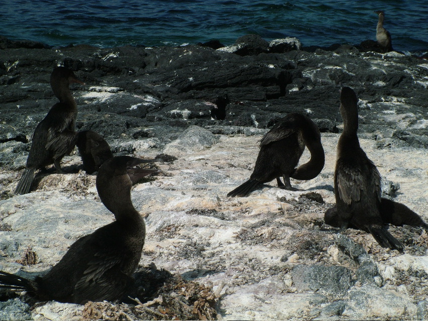 DSCF3476.JPG