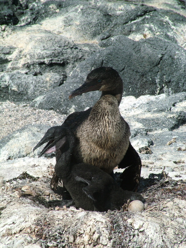 DSCF3477.JPG