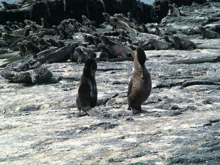 DSCF3478.JPG