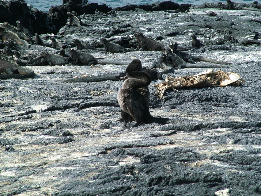 DSCF3480.JPG
