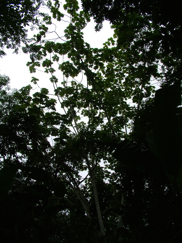 DSCF3151.JPG