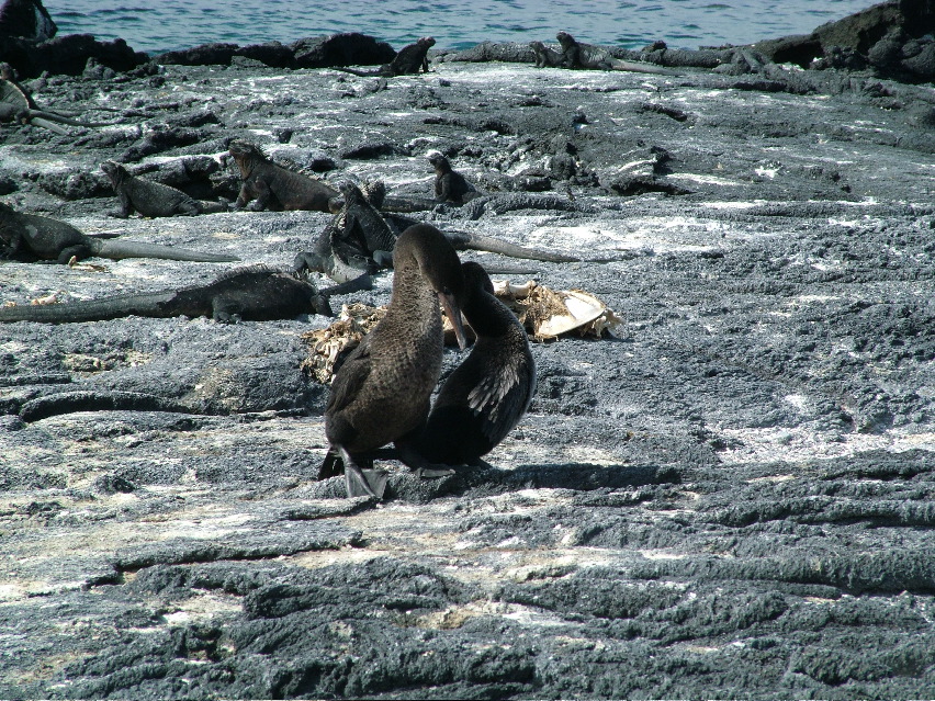 DSCF3482.JPG