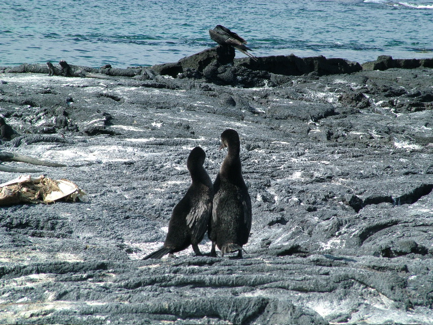 DSCF3483.JPG