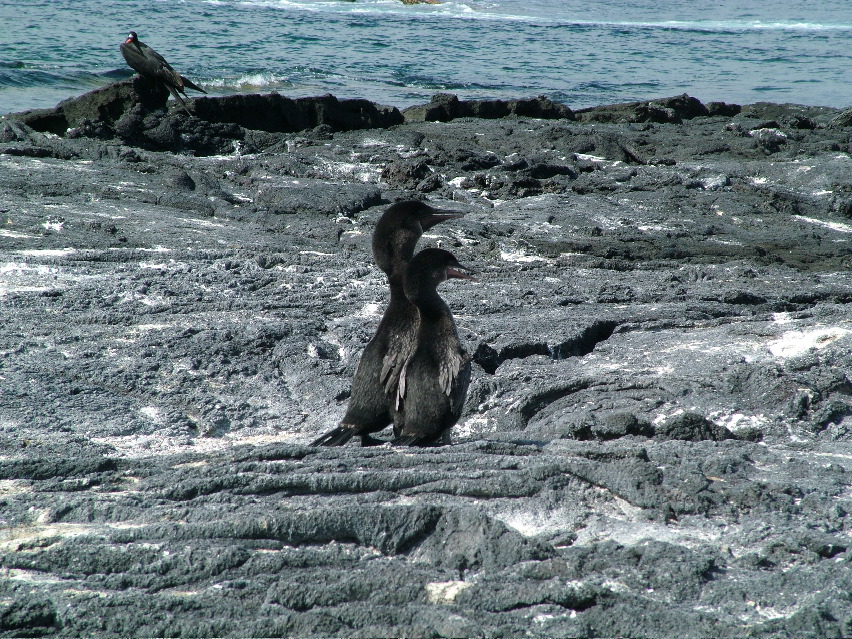 DSCF3485.JPG