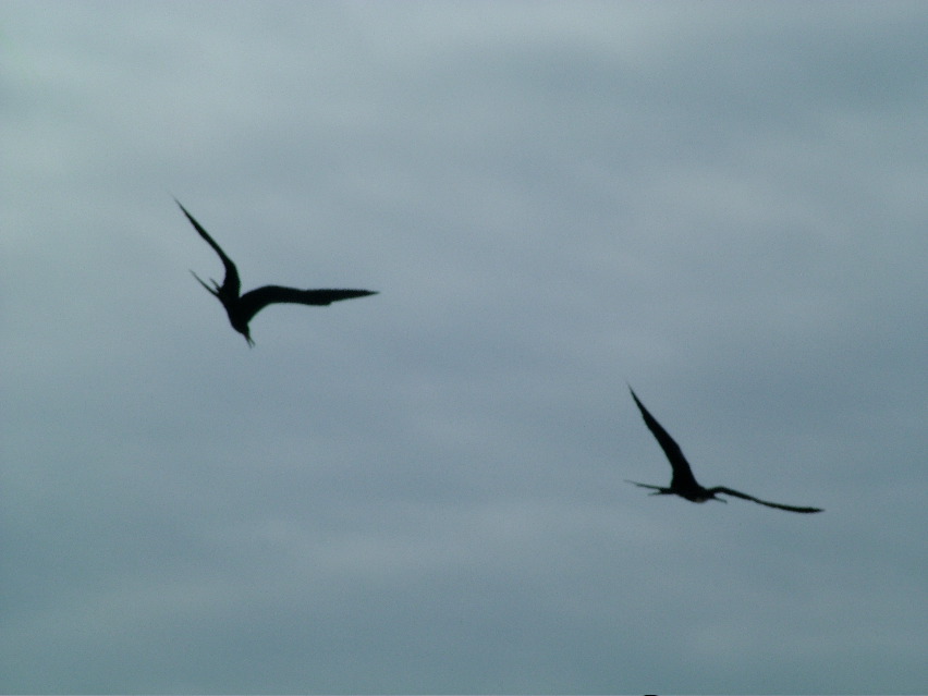 DSCF3486.JPG