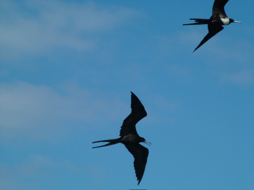 DSCF3487.JPG