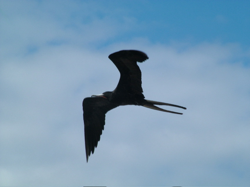 DSCF3488.JPG