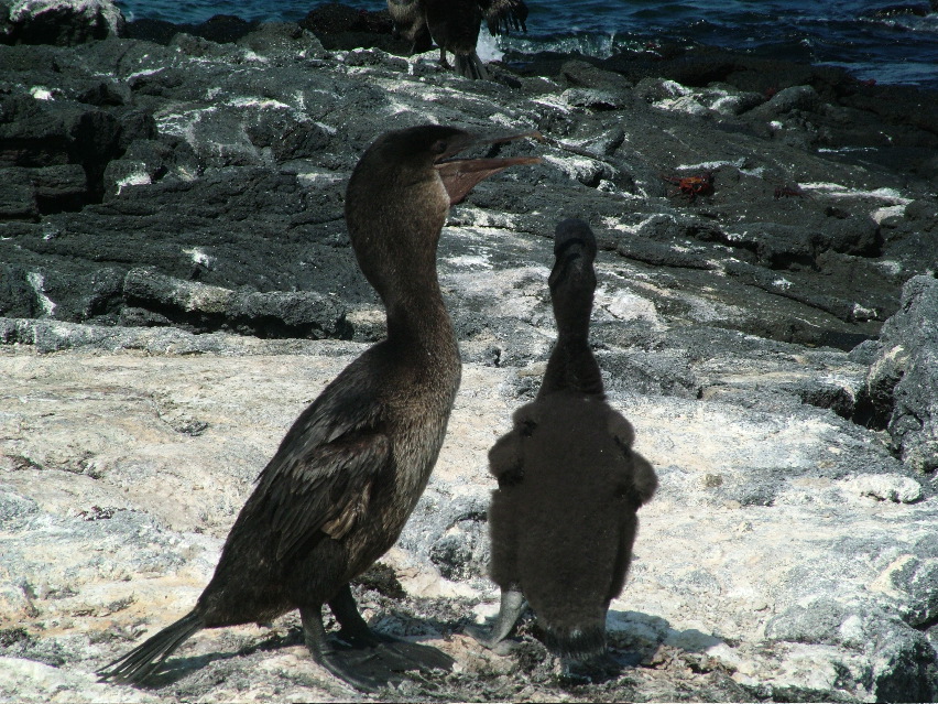 DSCF3490.JPG
