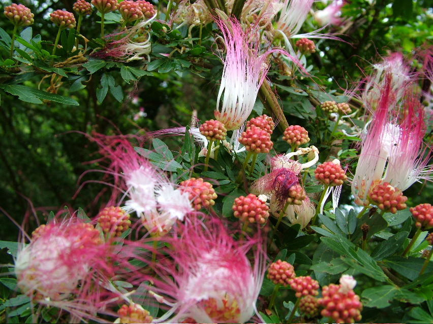 DSCF3152.JPG