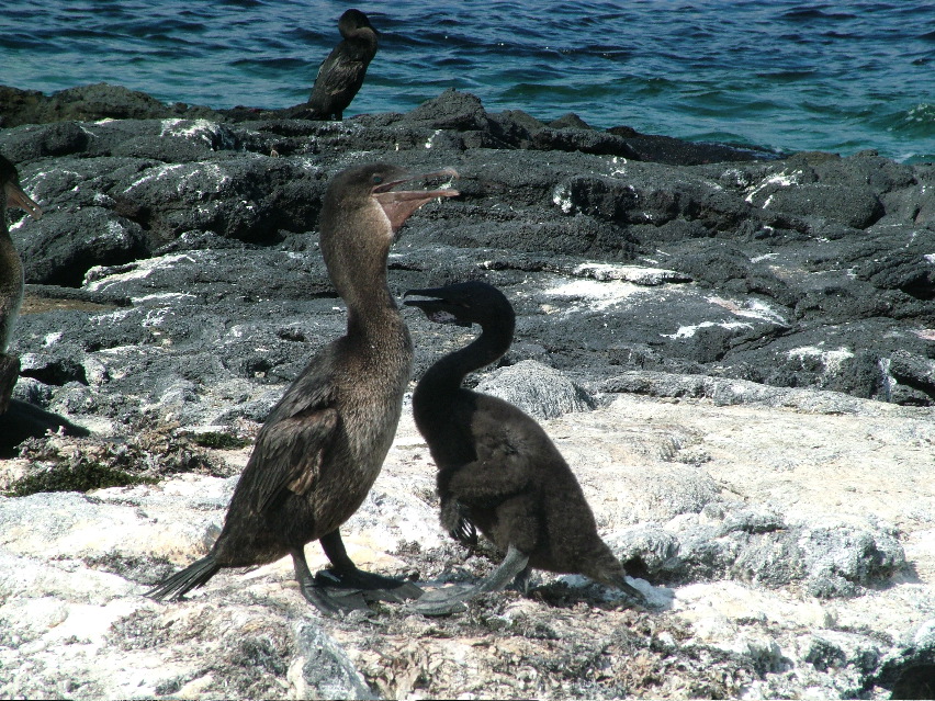 DSCF3491.JPG