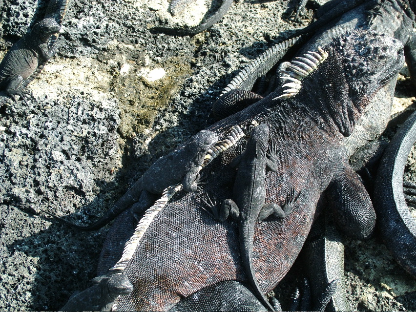DSCF3497.JPG