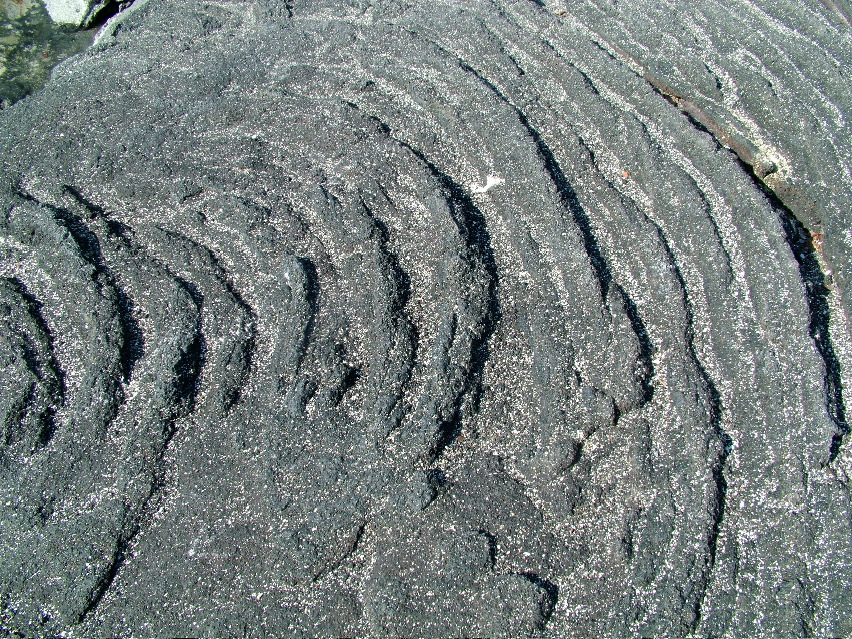 DSCF3503.JPG
