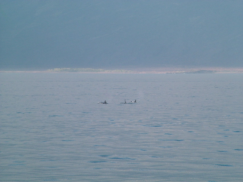 DSCF3507.JPG