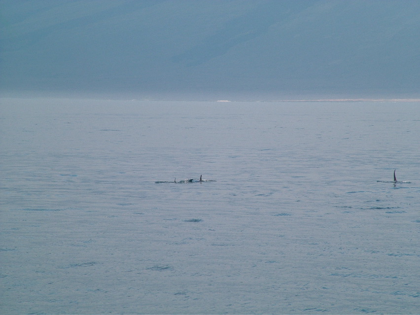 DSCF3509.JPG
