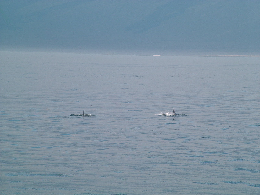 DSCF3510.JPG