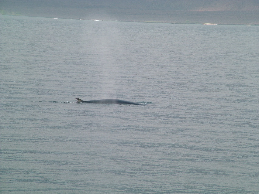 DSCF3518.JPG