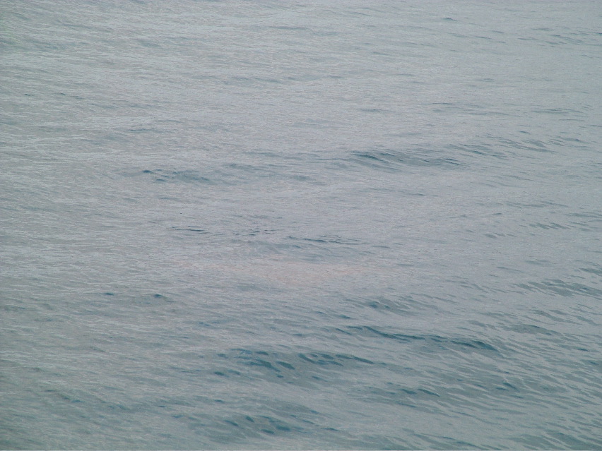 DSCF3519.JPG