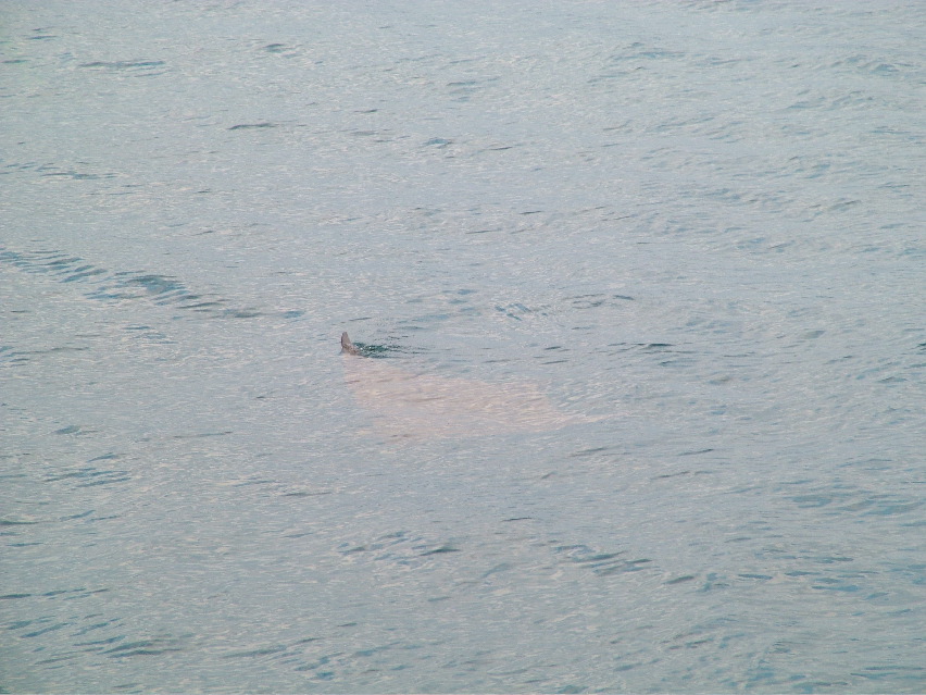 DSCF3520.JPG