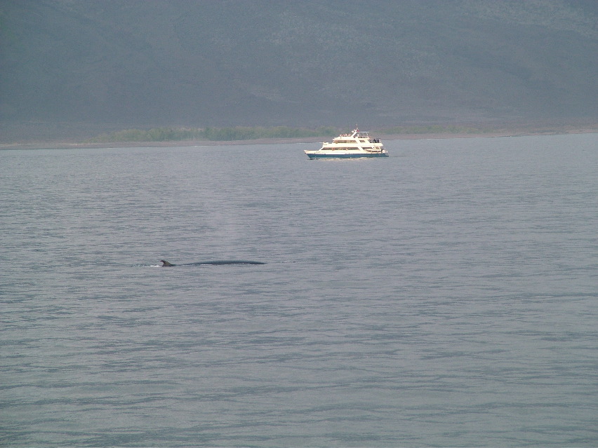 DSCF3521.JPG