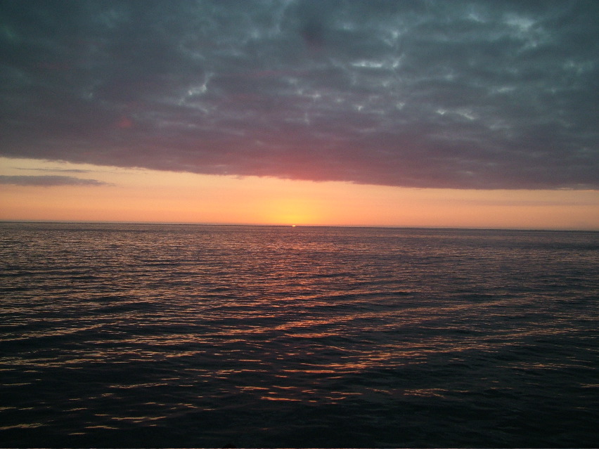 DSCF3529.JPG