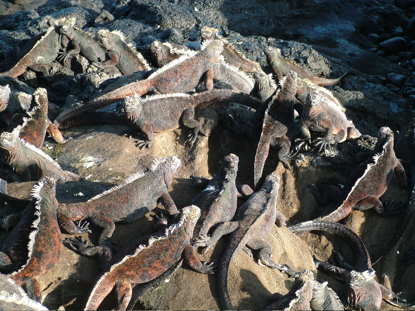 DSCF3531.JPG